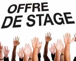 Offre de stage webmaster / community manager